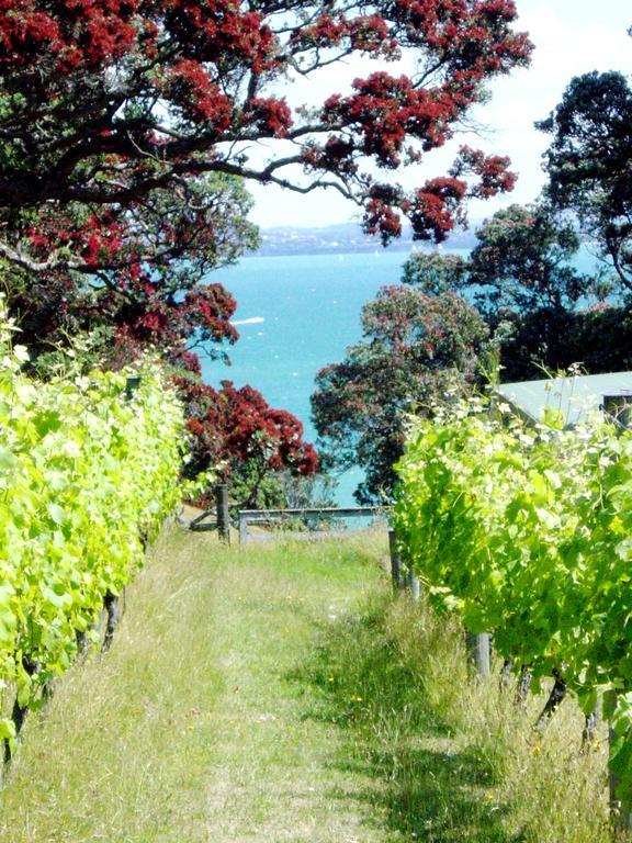 Waiheke Island Vineyard Holiday Houses Surfdale Exteriör bild